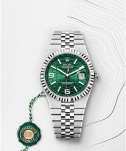 Rolex Land Dweller (11) Premium Watch