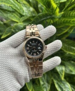 Rolex Land Dweller (4) Premium Watch